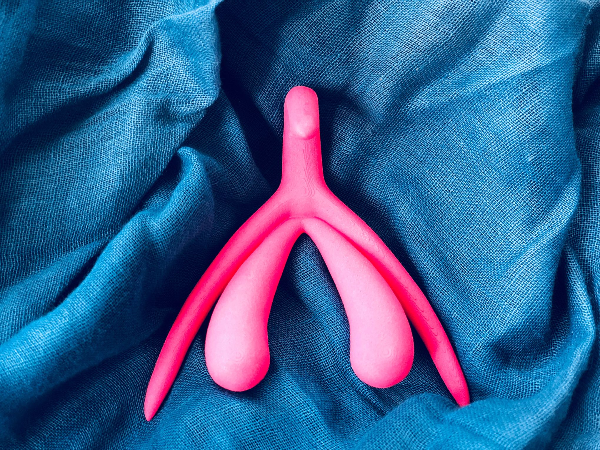 Le clitoris, un organe très riche en fibres nerveuses