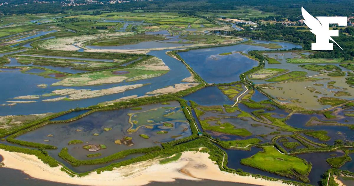 La réserve du Teich, près de Bordeaux, poursuivie en justice pour des panneaux... en anglais