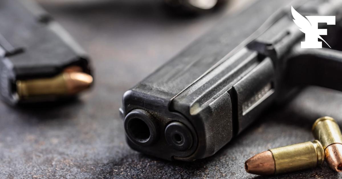 Après une fuite de données personnelles relative aux armes à feu, le ministère de l'Intérieur saisit la justice