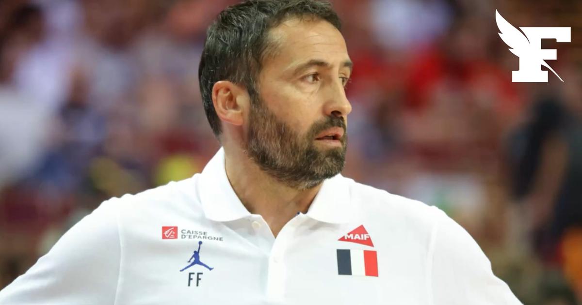 Basket : Freddy Fauthoux dévoile la liste des joueurs en vue des matchs qualificatifs à la Coupe du monde 2027