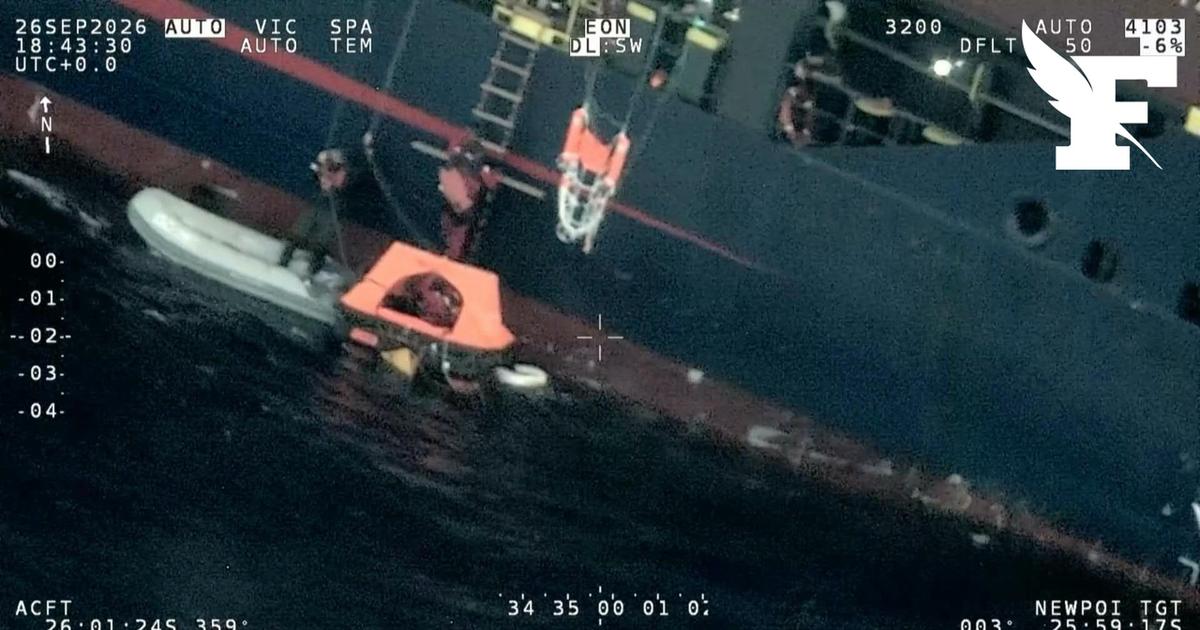 Un voilier fait naufrage après avoir percuté un banc de cachalots
