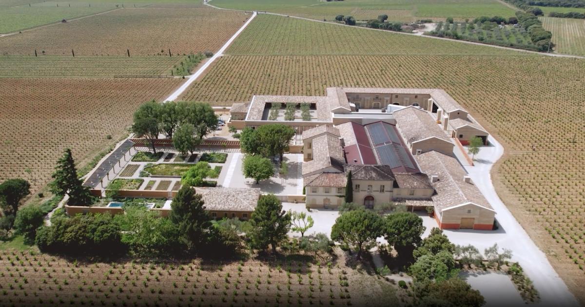 Reportage Big Bang Vin - Château de Beaucastel