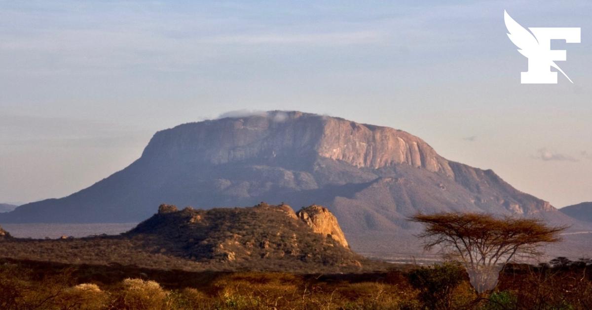 Kenya : un hélicoptère de tourisme s'écrase, aucun des passagers ne survit