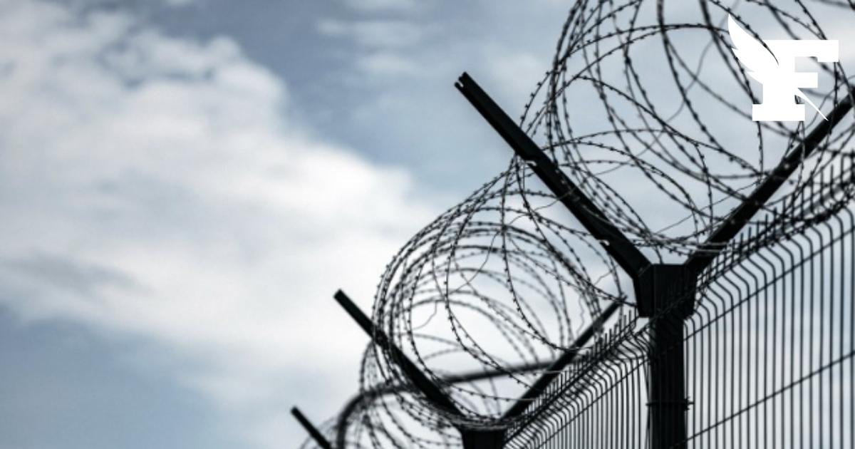 Procès de deux chefs présumés de la DZ Mafia : un cadre condamné à 25 ans de prison, l'autre relaxé