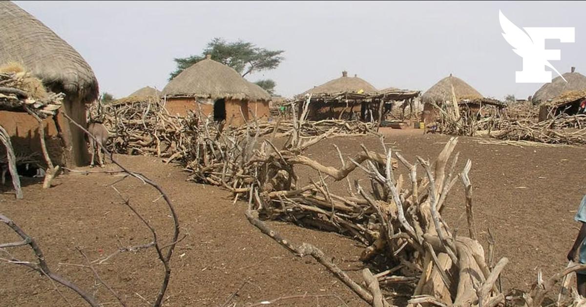 Nigeria : des centaines de Peuls tués pour soupçons d'alliance avec les jihadistes