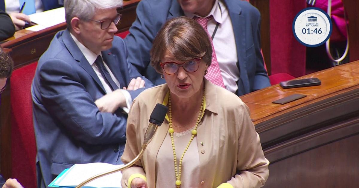 Canicule: «Qu'elle soit en plein air ou en élevage, la volaille meurt de la même façon au-delà de 40 °C», assure Annie Genevard