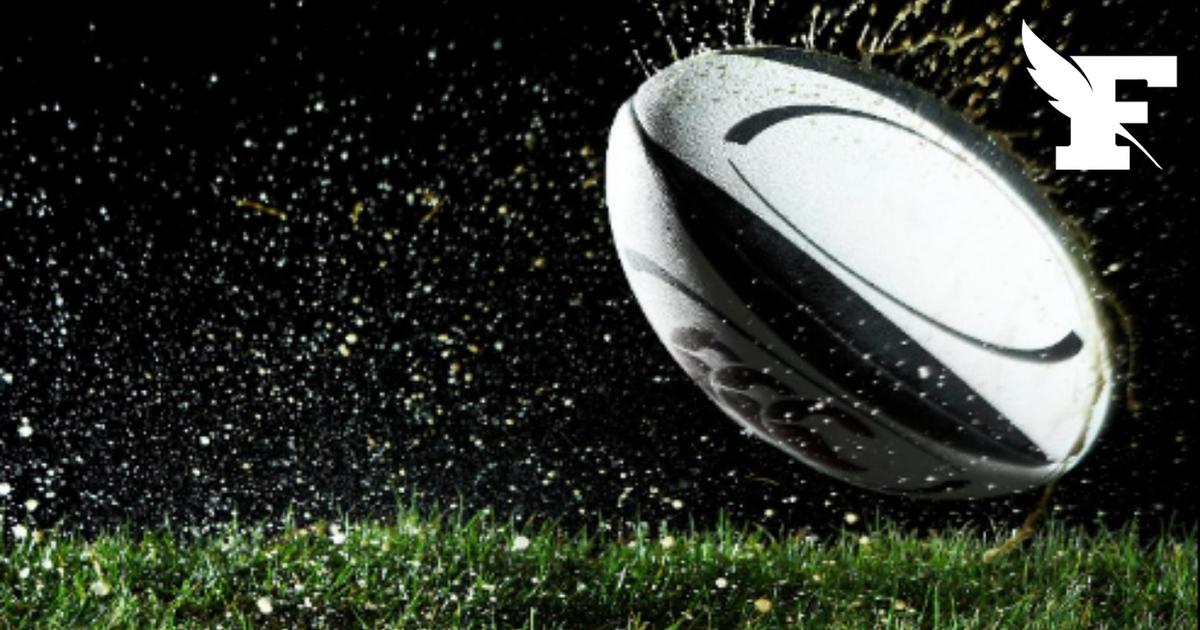 Nice: trois joueurs du Nissa Rugby blessés après une agression à l'issue de leur...