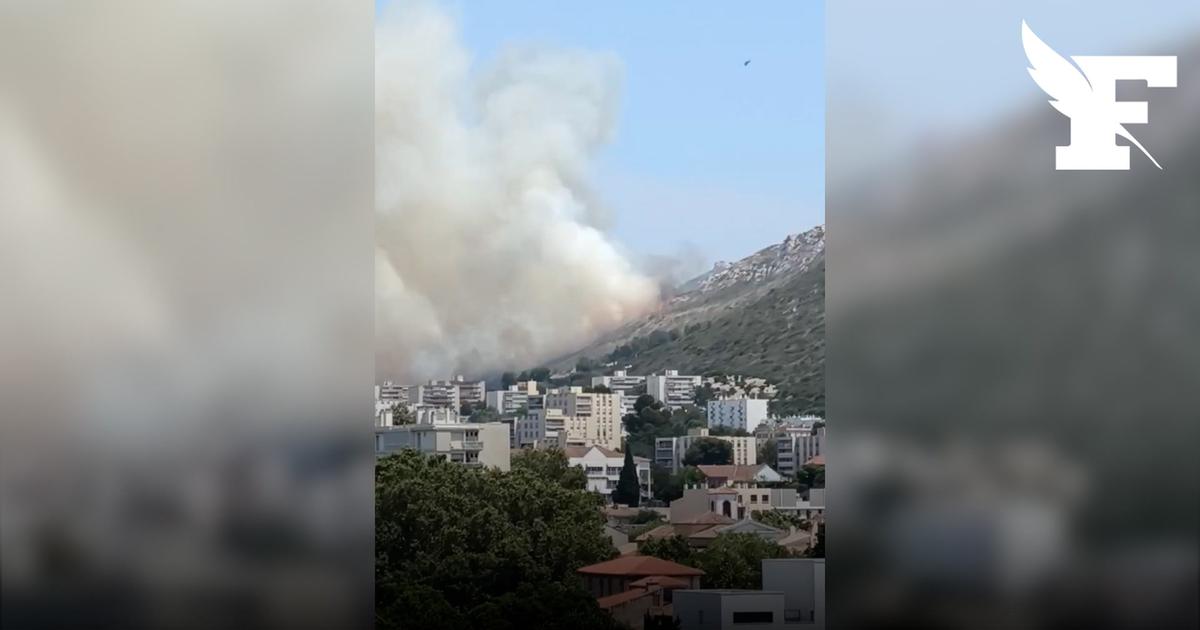 Un feu de végétation s'est déclaré dans le 11e arrondissement de Marseille