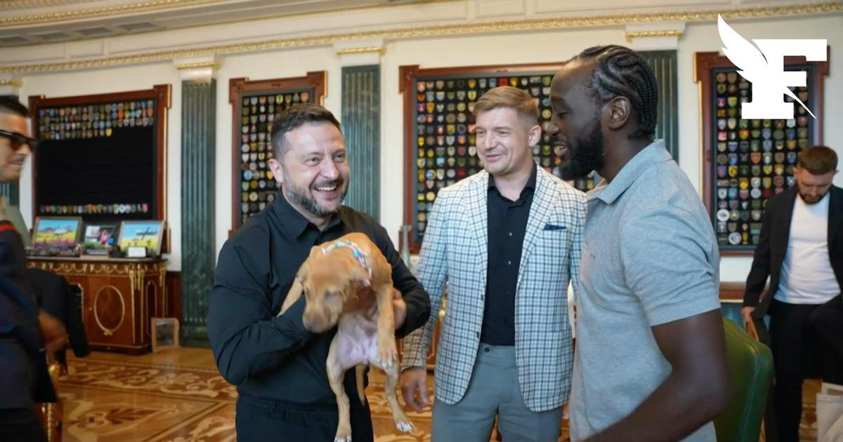 Volodymyr Zelensky reçoit un chiot en cadeau du boxeur américain Terence Crawford