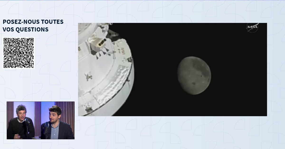Face cachée et face sombre de la Lune: les explications de Tristan Vey