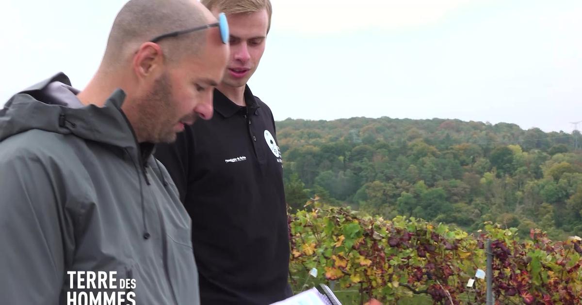 Le trail est-il Ã©colo? L'exemple du Â«SacrÃ© TrailÂ» de la Montagne de Reims