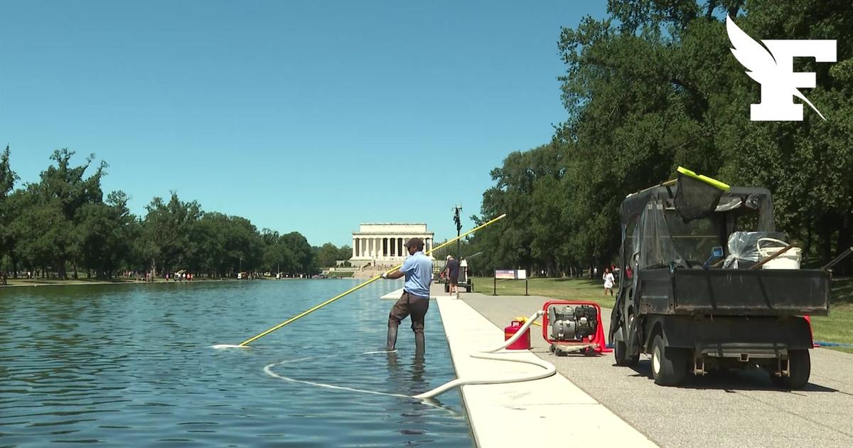 Les images du bassin à 14 millions de dollars de Trump, infesté par les algues après sa rénovation