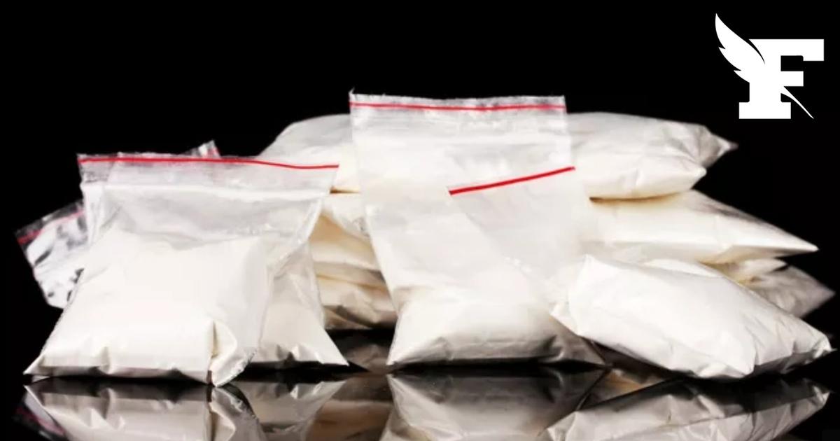 165 kg de cocaïne découverts dans un camion en Bourgogne