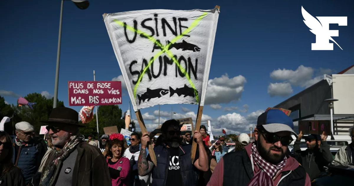 Gironde: les opposants d'une mégaferme à saumons ne désarment pas