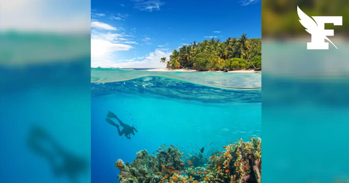 Maldives: cinq touristes italiens meurent dans une accident de plongée