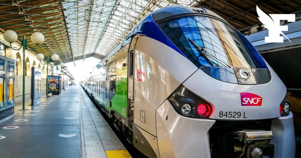 Canicule : la SNCF annule des départs de trains jusqu'au 10 juillet