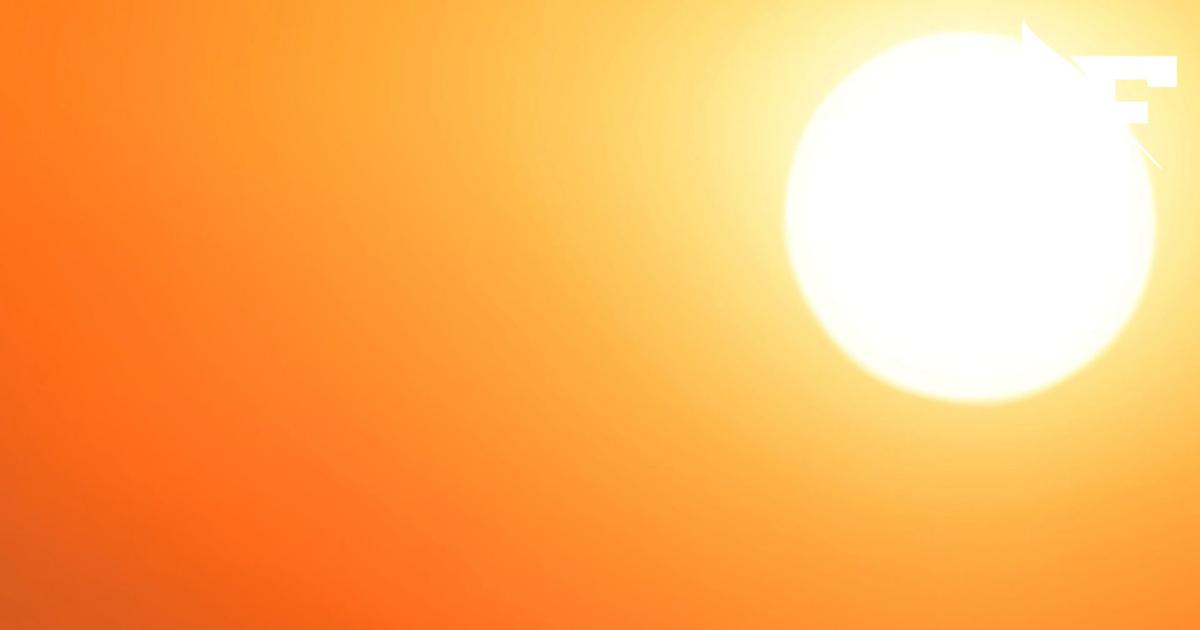 Selon Météo-France, la canicule «devrait persister jusqu’au 14 juillet»