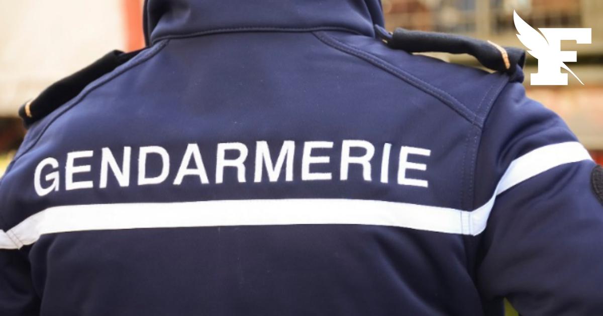 Un gendarme mortellement percuté lors d'une intervention en Meurthe-et-Moselle