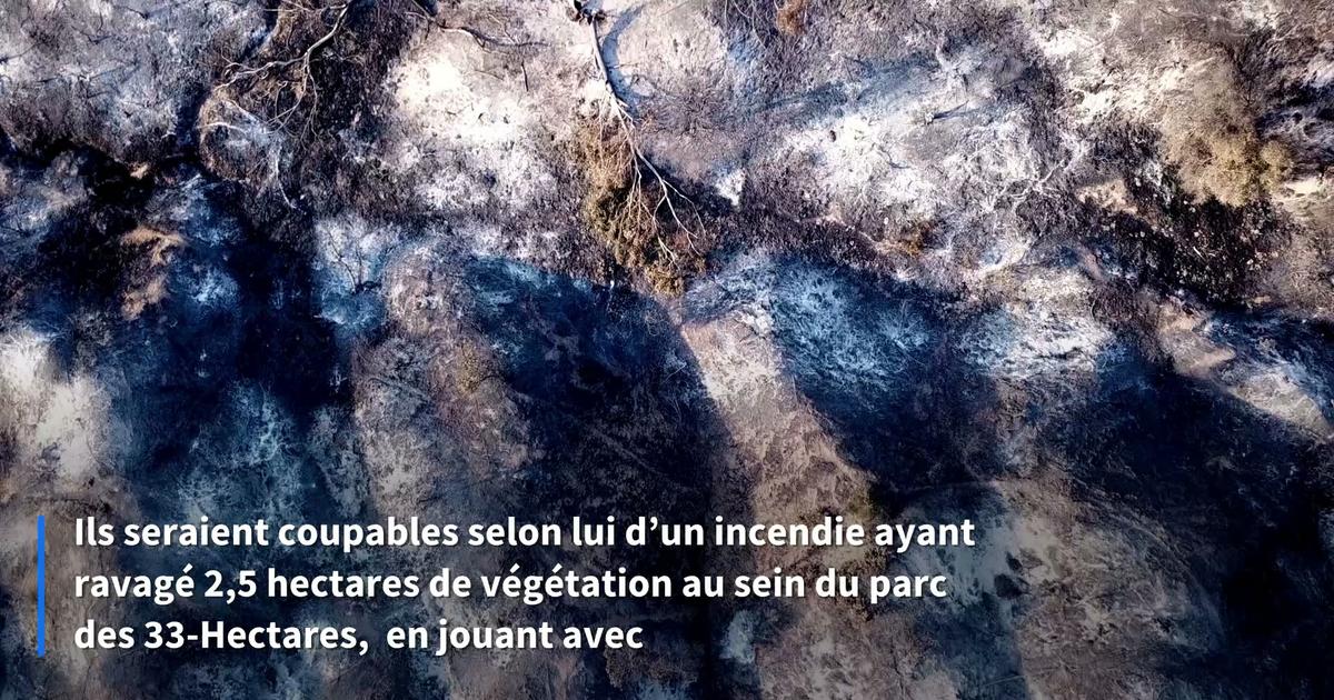 Neuilly-sur-Marne : après l'incendie d'un parc provoqué par des mortiers, le maire en appelle à la responsabilité des parents