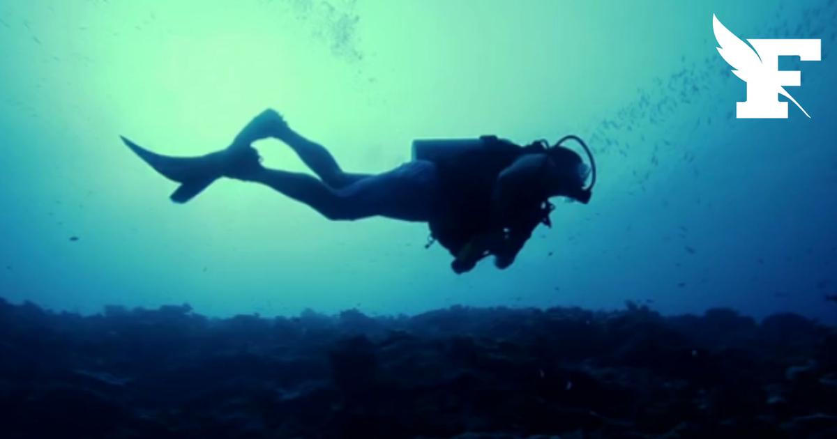 Un plongeur disparaît lors de l'exploration de l'épave d'un cargo près de Porquerolles