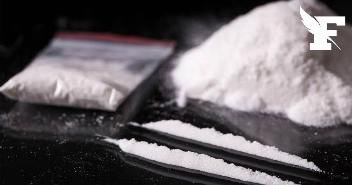 Bourgogne : saisie record de plus d'une demi-tonne de cocaïne