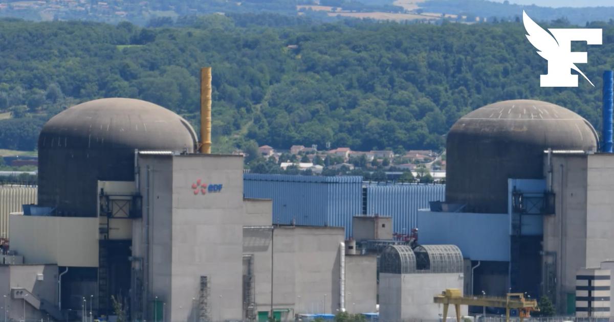 Face aux méduses et à la canicule, le parc nucléaire d’EDF atteint un record d’indisponibilité environnementale