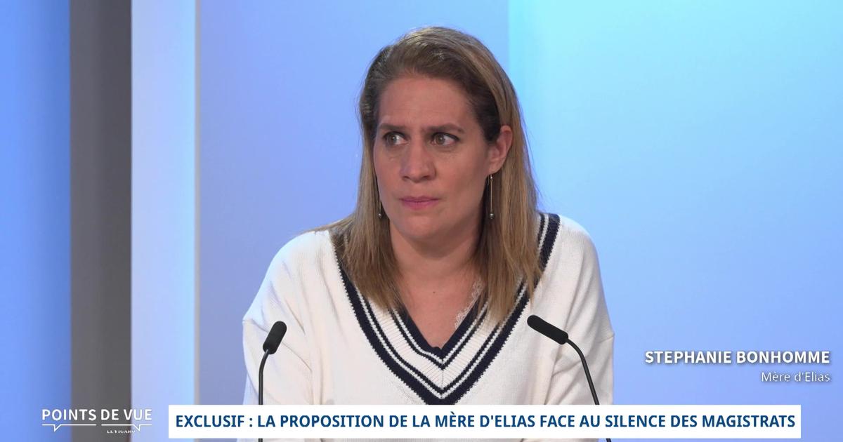 «L'institution judiciaire nous claque la porte au visage», déplore la mère d'Elias