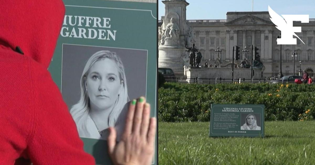 Affaire Epstein: les images des panneaux installés par des militants devant le palais de Buckingham