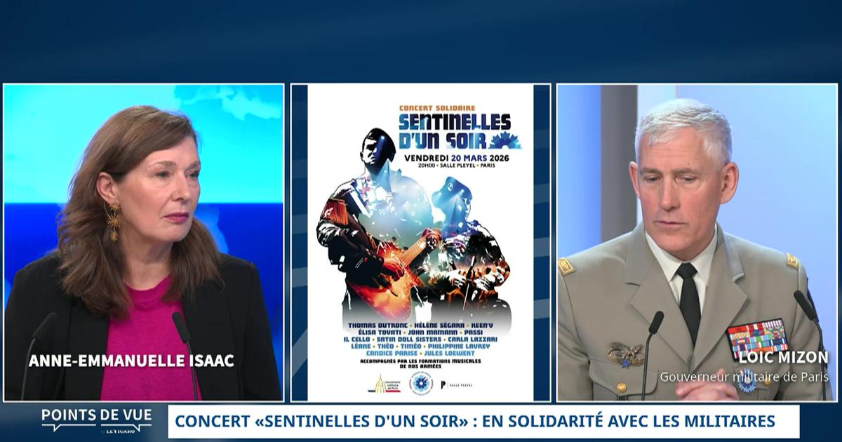 Concert «Sentinelles d'un soir» : en solidarité avec les militaires - Loïc Mizon