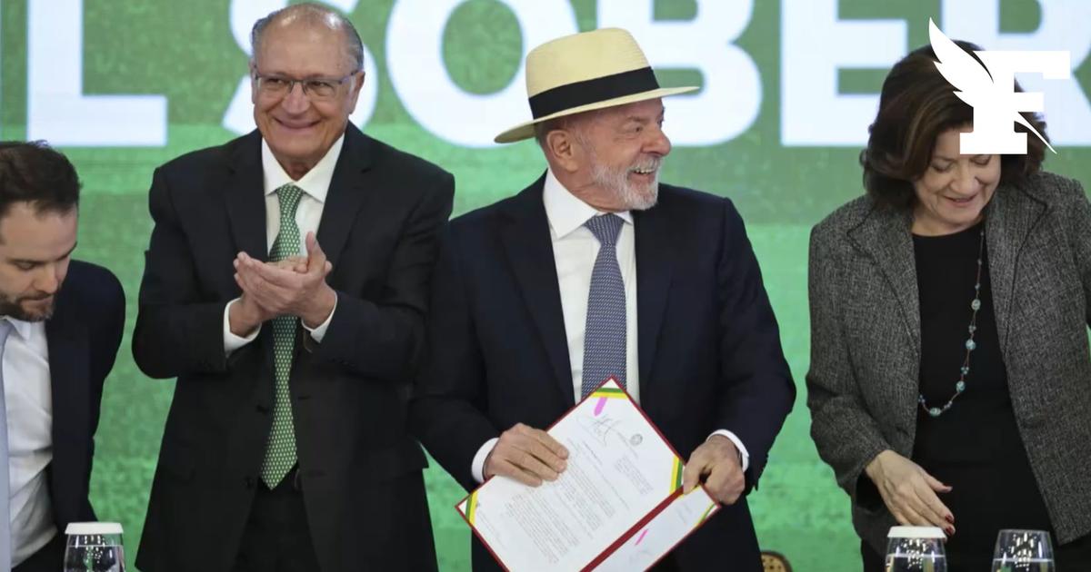 Brésil : le pays interdit désormais la production et la vente de foie gras