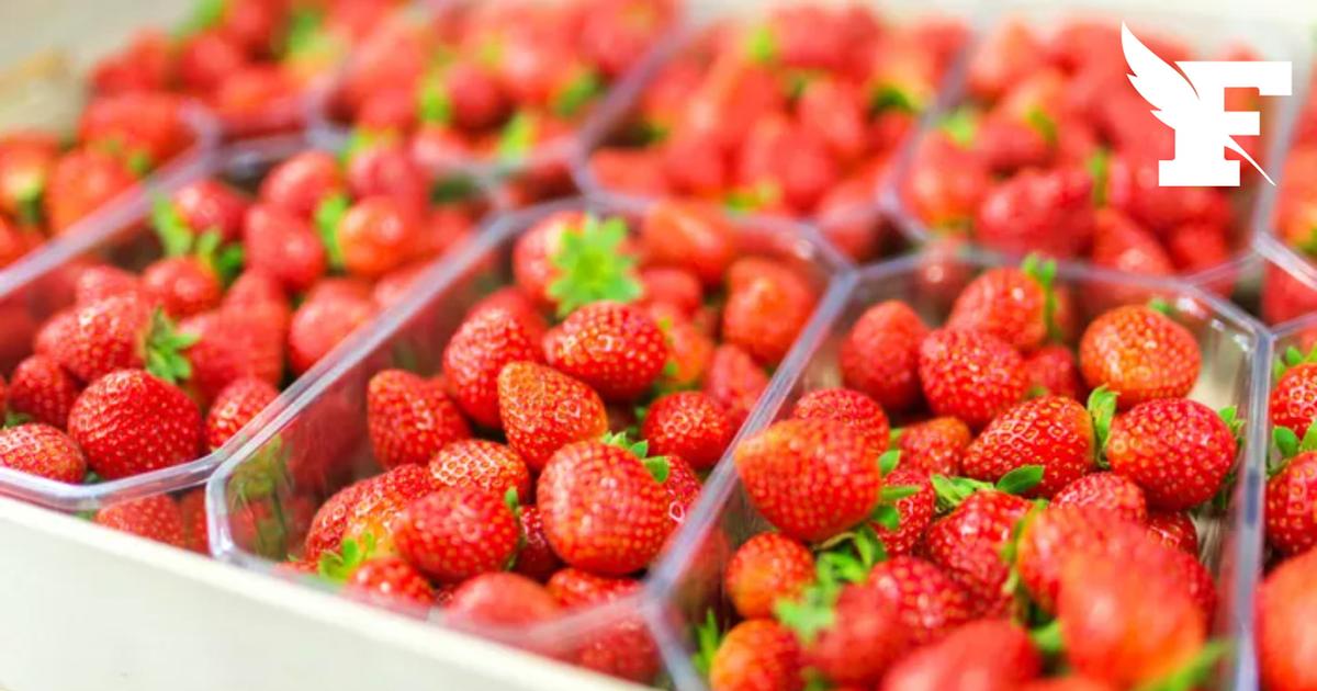 Rappel Conso annonce le rappel de fraises vendues avec un taux de pesticide trop élevé