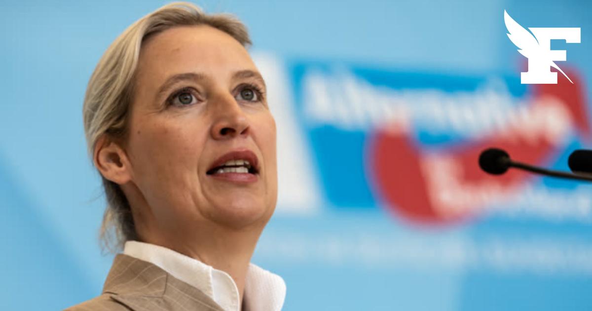 Allemagne: l'AfD plus populaire que le chancelier Friedrich Merz, selon un sondage
