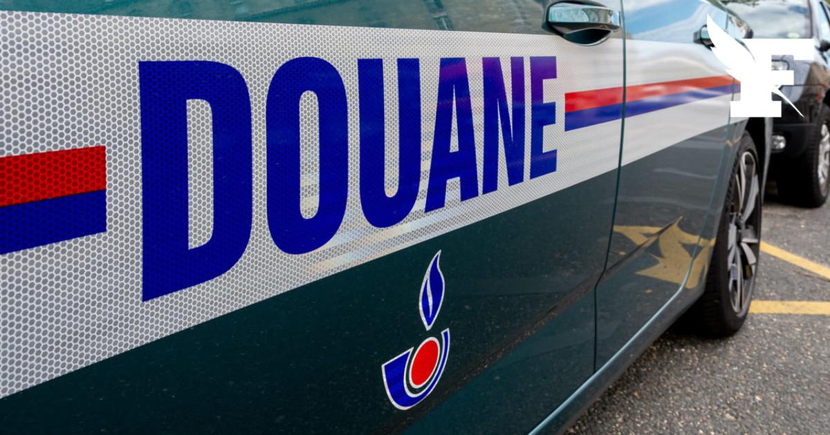 Alpes-Maritimes : un violoniste interpellé avec 38 kg de cocaïne près de l'Italie