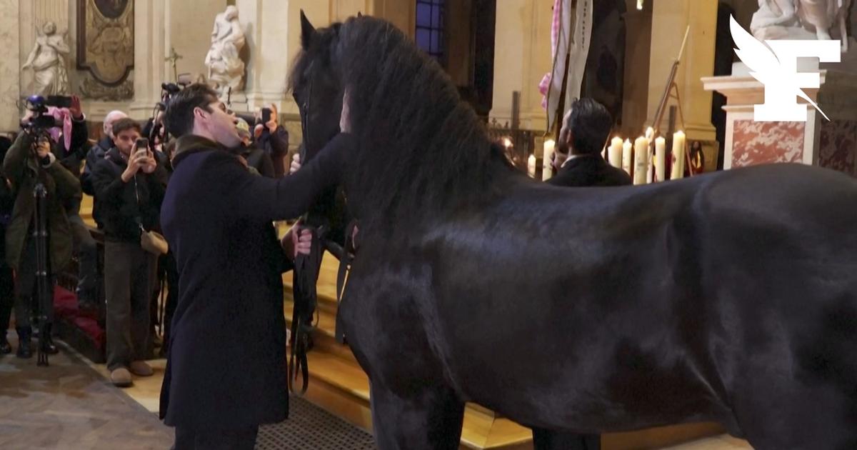 Michel Drucker, Hugues Aufray, un cheval et des petits chiens... les invités de l’hommage parisien à Brigitte Bardot en l’église Saint-Roch