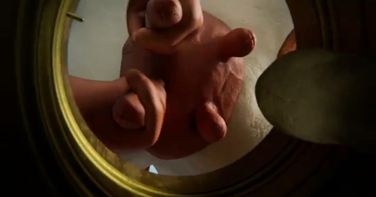 Cows - La bande annonce