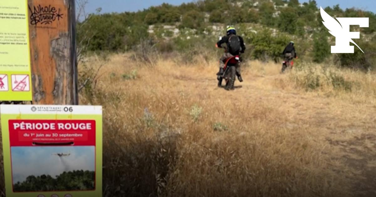 «On est sur une tolérance zéro par rapport à ça» : ces patrouilles qui informent et sanctionnent face au risque d'incendie