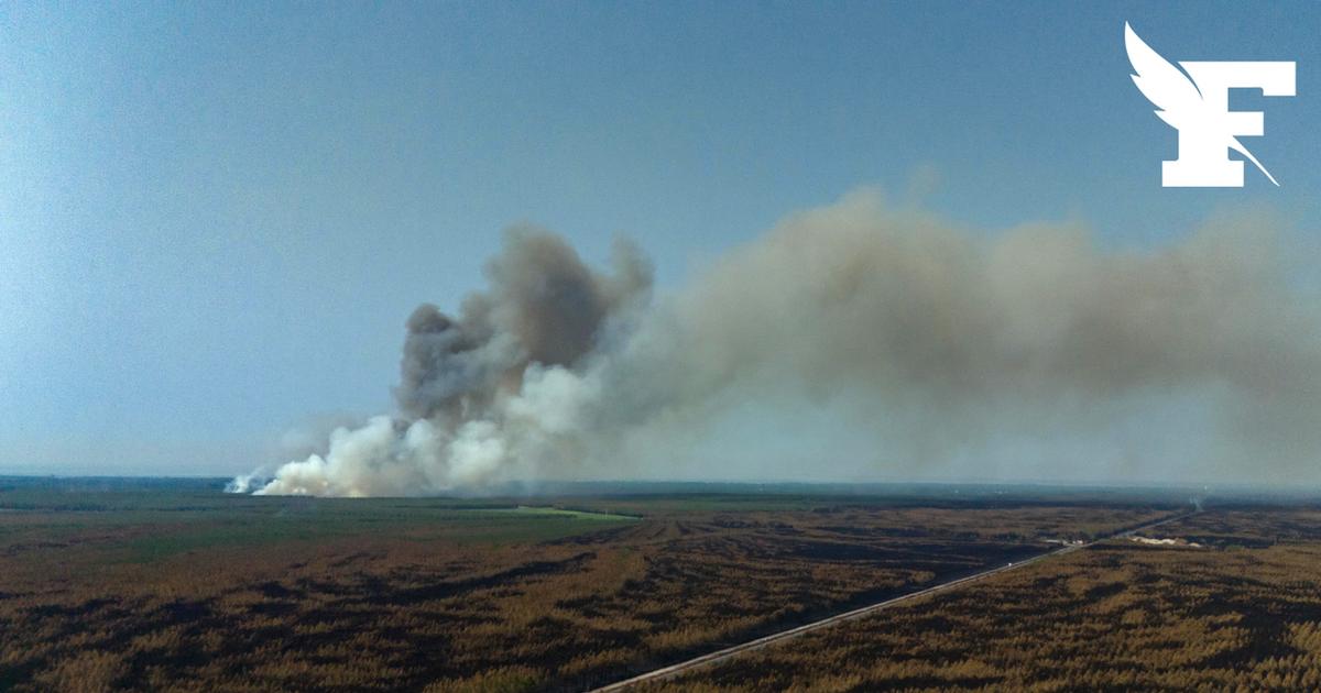 Incendies en Gironde : la Belgique annonce l'envoi d'une trentaine de militaires et d'une dizaine de véhicules spécialisés
