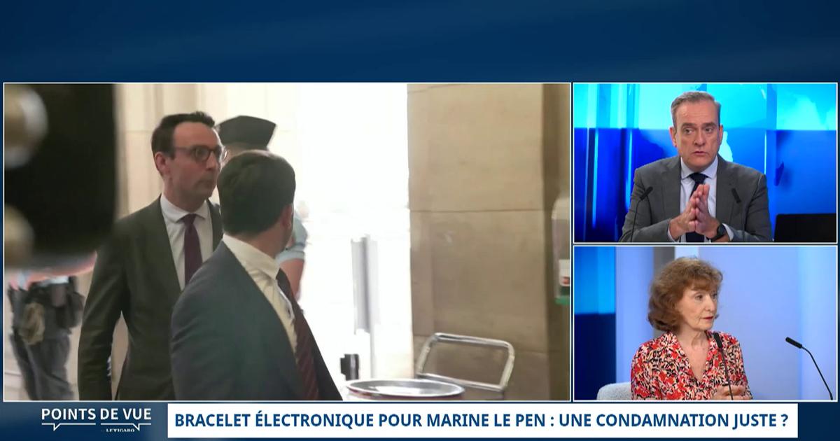 Marine Le Pen : l'ancienne ministre Noëlle Lenoir dit «comprendre le pourvoi en cassation»