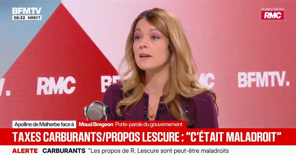 Maud Bregeon: «On aura la semaine prochaine, une baisse visible à la pompe»