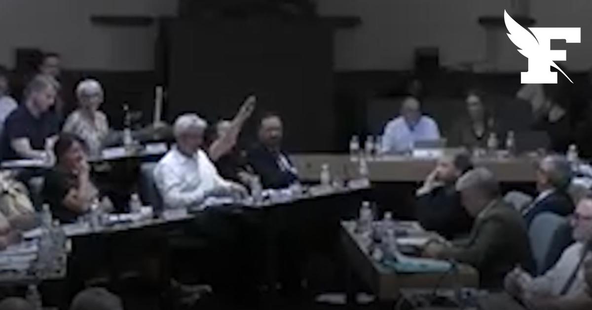 Perpignan : une élue d'opposition accusée d'avoir effectué un salut nazi lors du conseil municipal