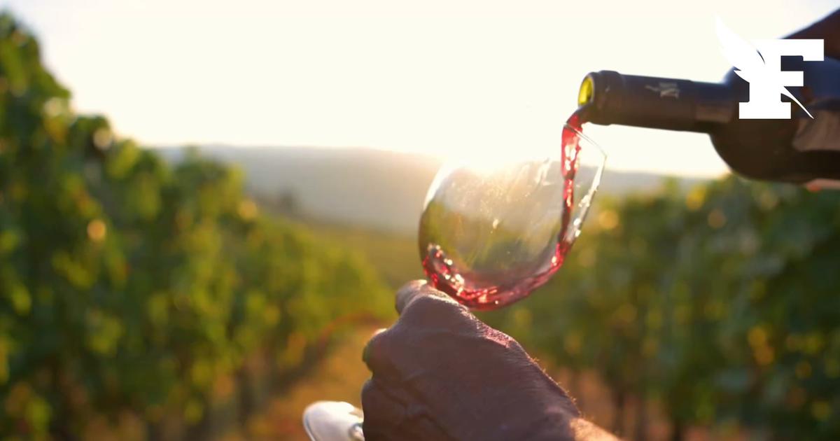Guerre en Iran : La filière du vin redoute une «hausse du prix du verre»