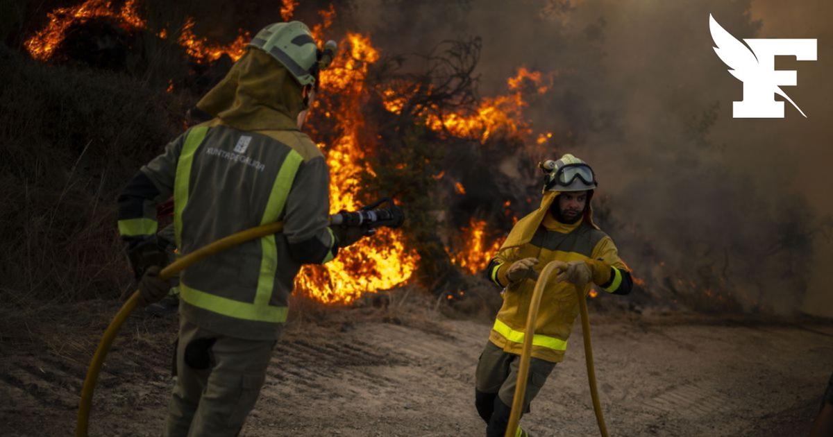 Serbie : lutte acharnée contre l'incendie géant de Deliblatska Pescara