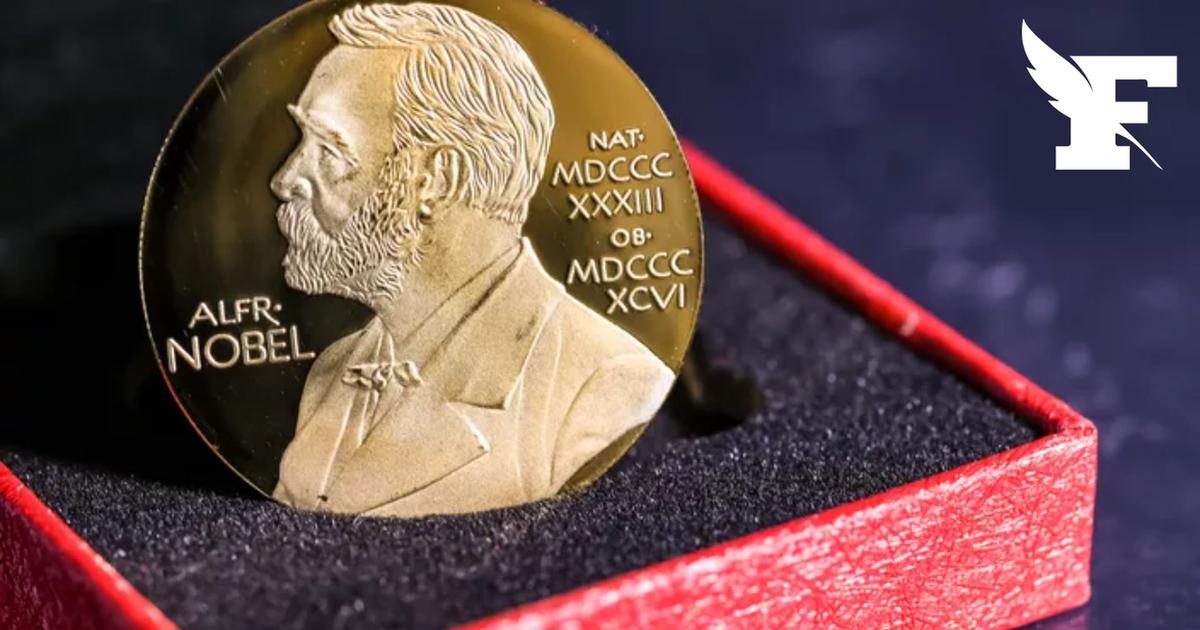 Le Prix Nobel de physique 2026 attribué à Francis Halzen pour ses travaux sur un détecteur géant de particules au Pôle sud