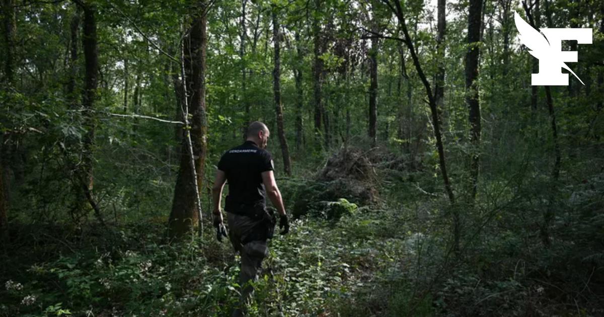 Disparition de Lyhanna : ces dysfonctionnements sur les antécédents de Jérôme B., le principal suspect
