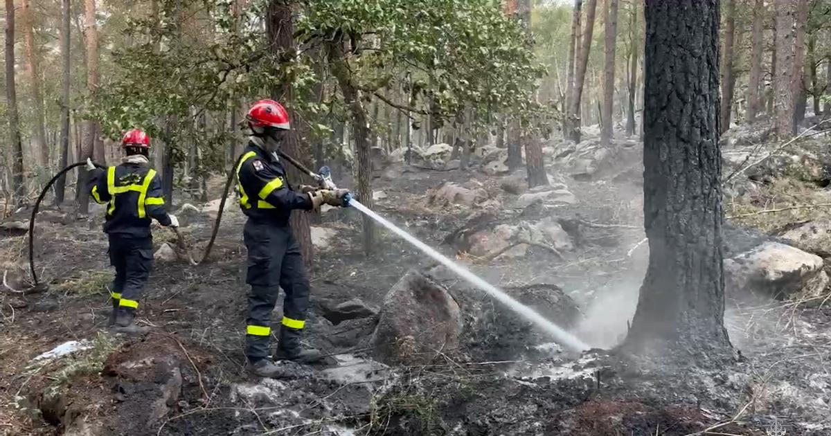 Feux de Fontainebleau: 120 militaires du génie venus en renfort pour lutter contre «les feux-zombies»