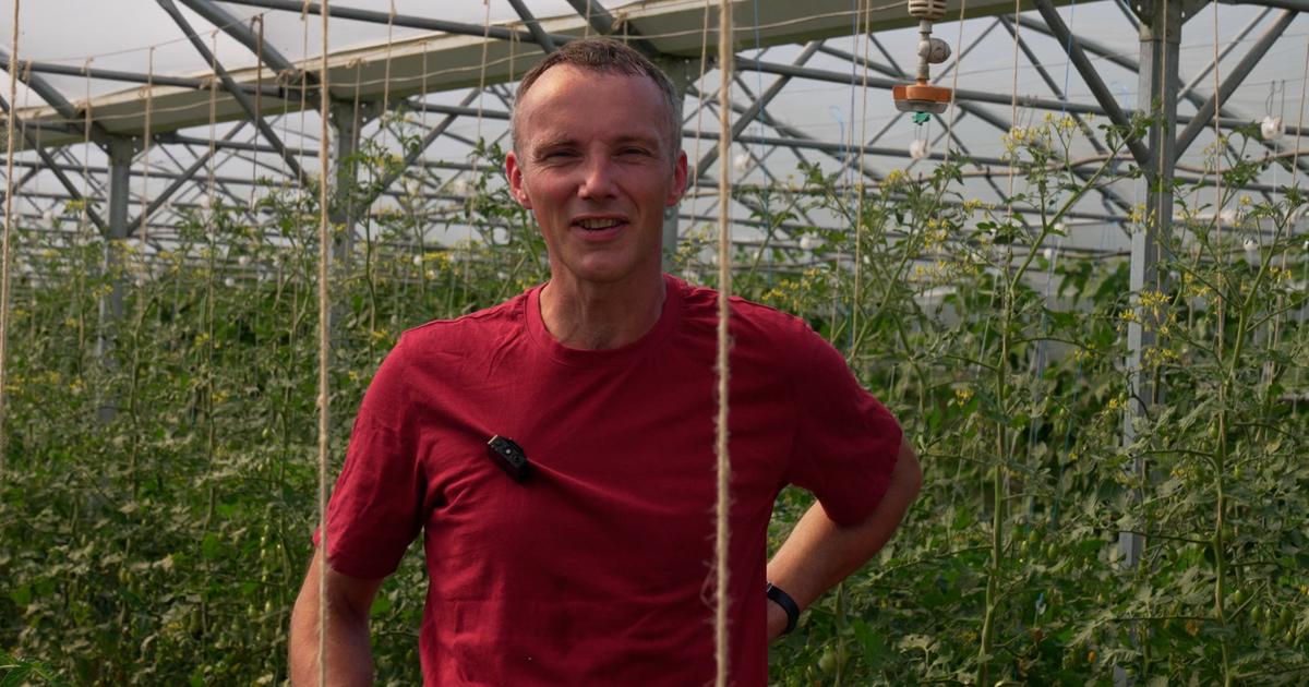 Avec l’Amap, consommer bio et en circuit court dans les grandes villes est à portée de tous