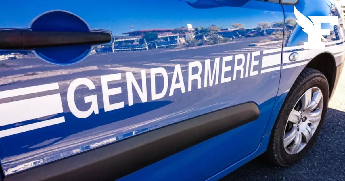 Essonne: en protégeant sa femme, un homme se retrouve confronté à deux individus armés d'un «sabre de type samouraï»