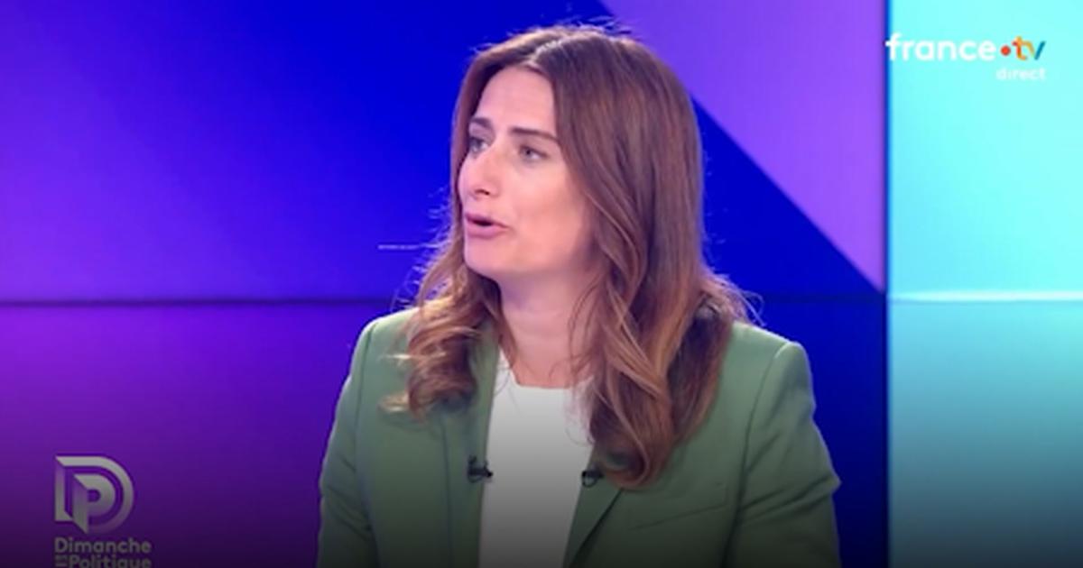 Marine Tondelier aurait «préféré qu'Ali Khamenei soit jugé, que tué»