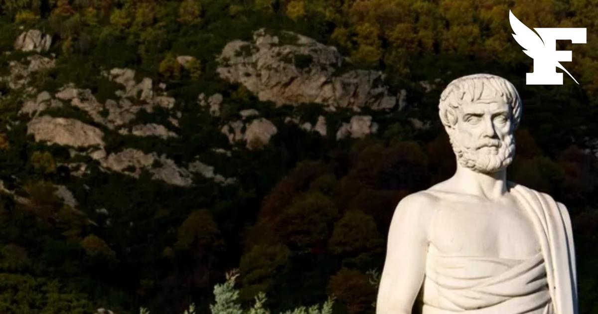 Quelle est cette étonnante catégorie professionnelle vers laquelle se tournent les géants de l'IA ?