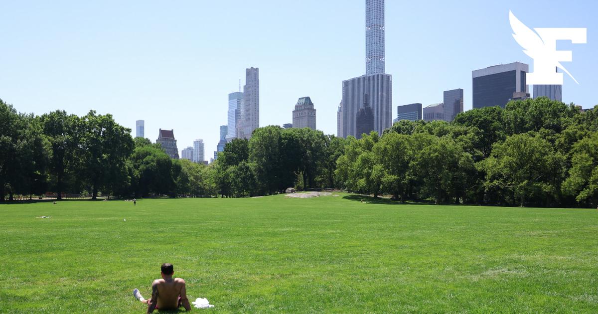 Camper gratuitement en plein centre de New York ? C'est possible jusqu'au 18 septembre